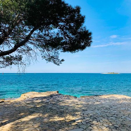 App Fiorela Poreč Kültér fotó