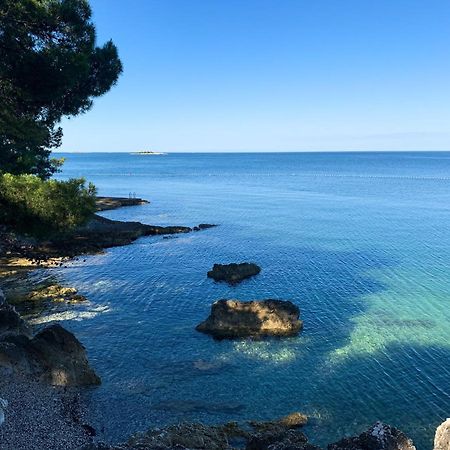 App Fiorela Poreč Kültér fotó